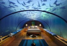 Hotels in Dubai with Infinity Pool