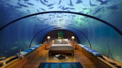Hotels in Dubai with Infinity Pool