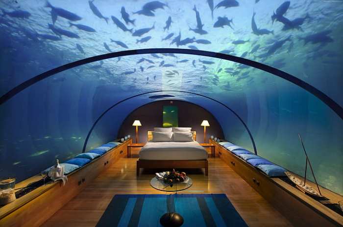 HD wallpaper: tourism, vacation, pool, Montage Beverly Hills, travel ... Hotels in Maldives with Overwater Spa